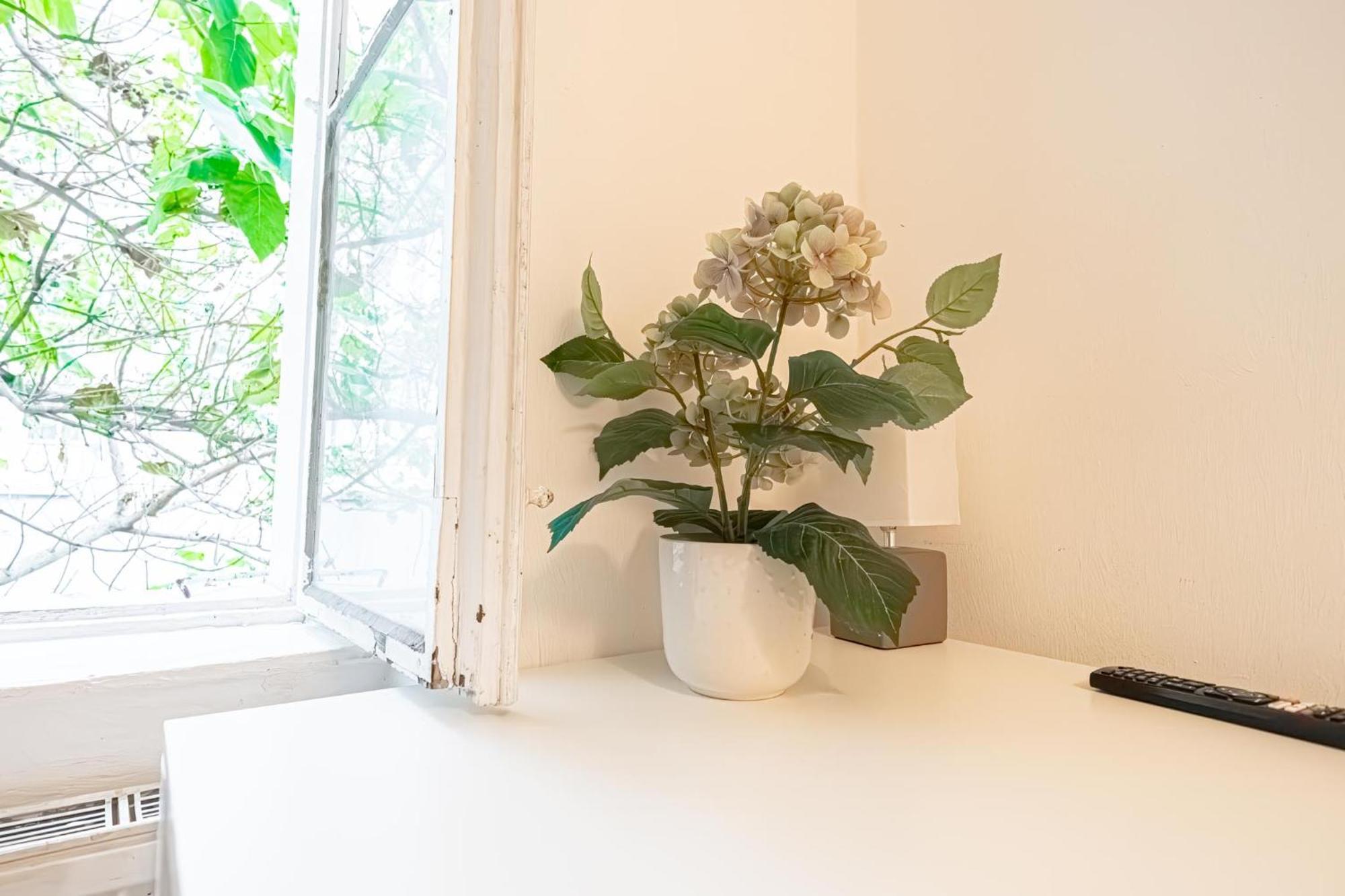 Central Belvedere 3Br Shared Apartment - 12 Min From City Center Vienne Extérieur photo